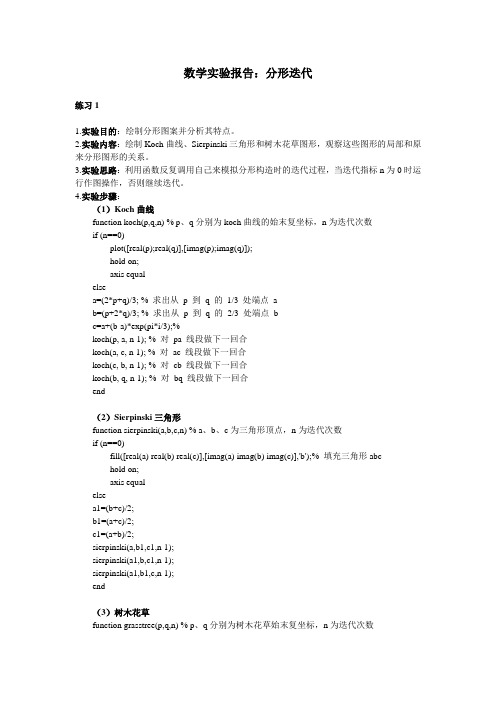 Matlab实验报告：分形迭代