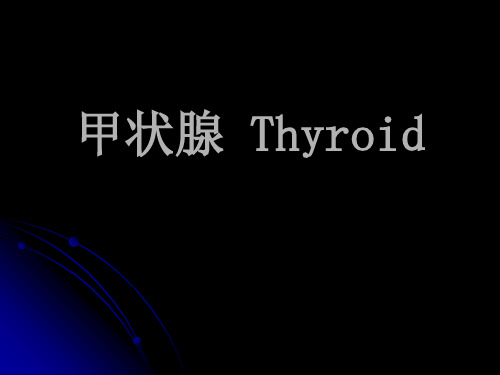 甲状腺局部解剖及临床