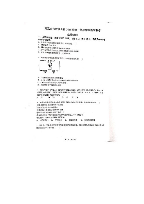江苏省南京市六校联合体2018-2019学年高一下学期期末联考试题 生物 扫描版含答案