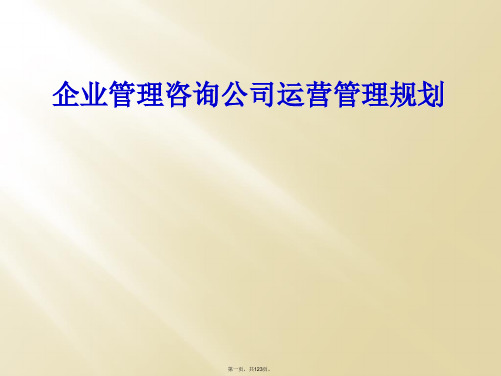 企业管理咨询公司运营管理规划