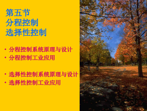 分程与选择性控制