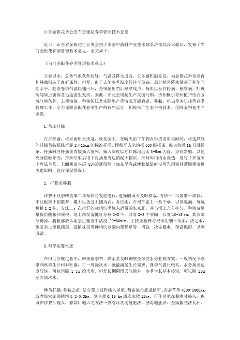 山东金银花协会发布金银花春季管理技术意见