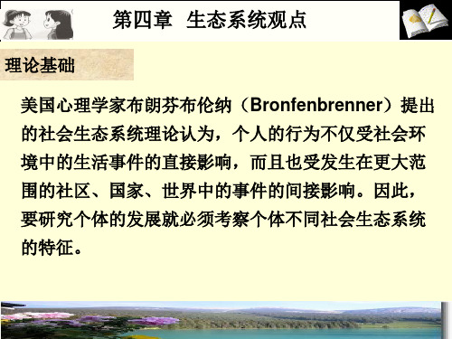生态理论