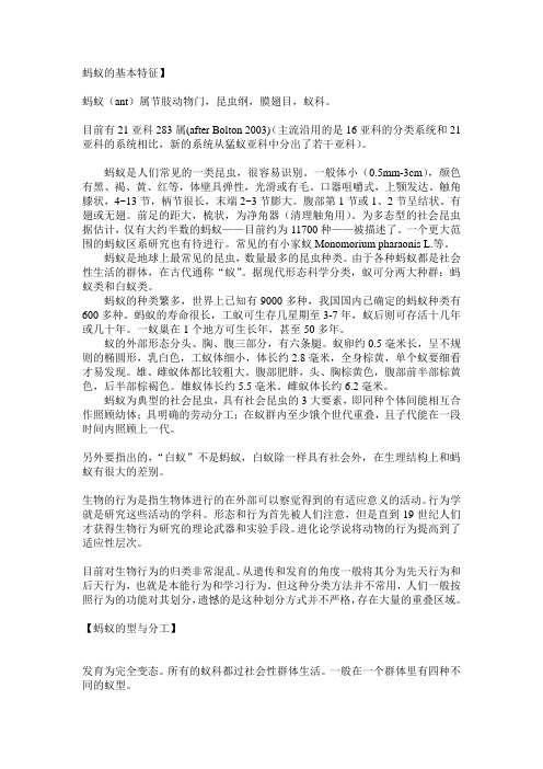 蚂蚁的基本特征