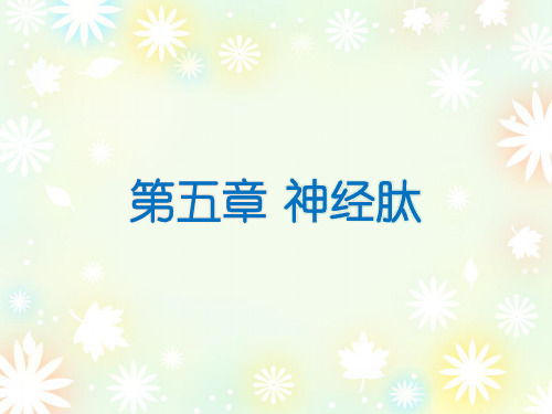 第五章 神经肽