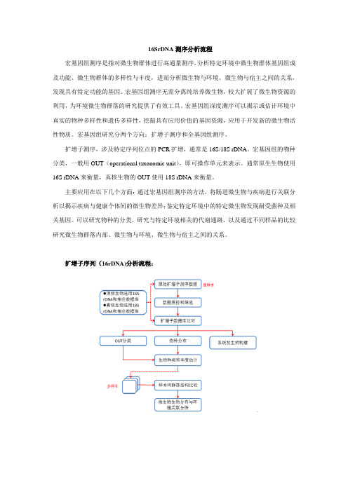 16S扩增子测序分析流程