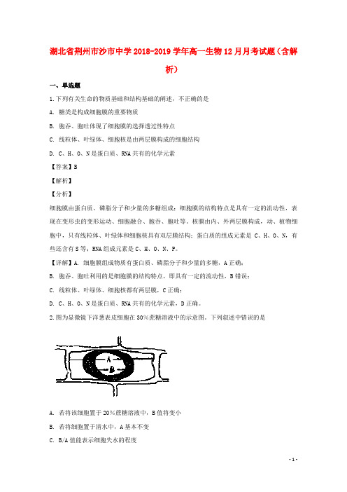 湖北省荆州市沙市中学2018_2019学年高一生物12月月考试题(含解析)