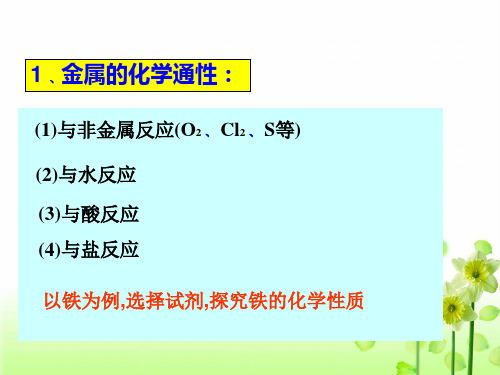 物质分类通性