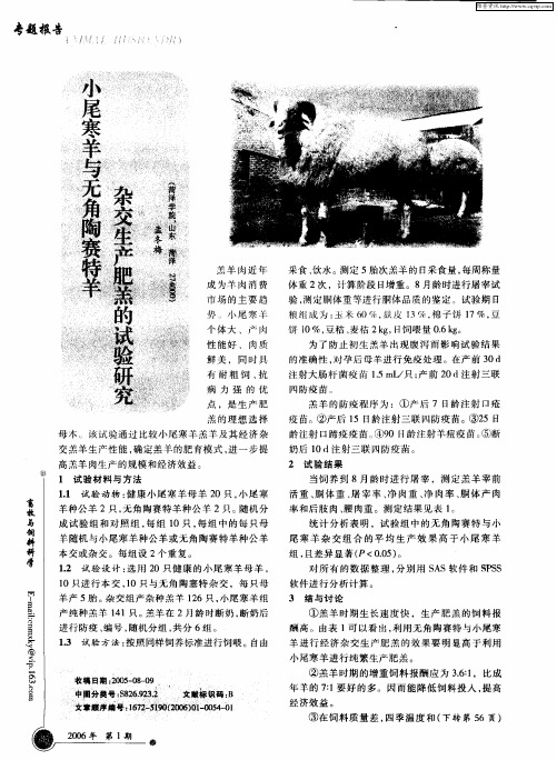 小尾寒羊与无角陶赛特羊杂交生产肥羔的试验研究
