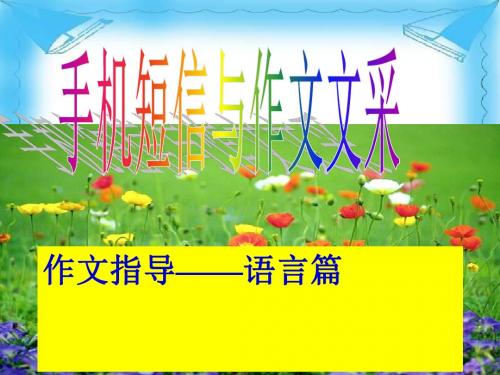 中考作文语言训练：手机短信写作PPT课件