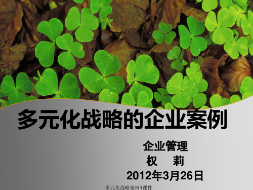 多元化战略案例1课件