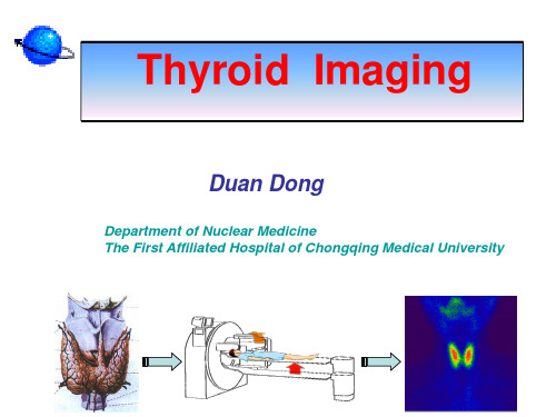(核医学课件)08.甲状腺显像