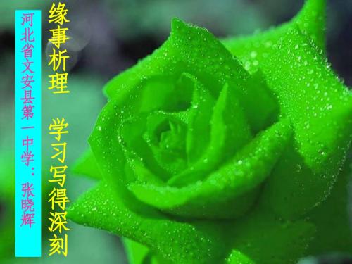 以小见大