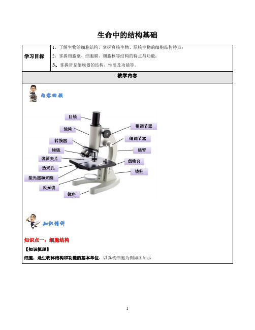 高中生物专题讲义《生命的结构基础》