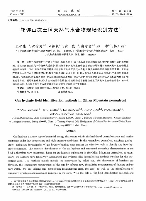 祁连山冻土区天然气水合物现场识别方法