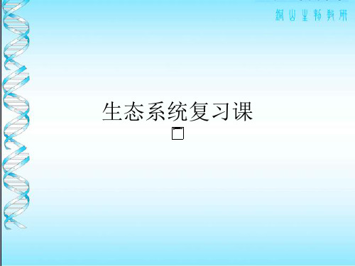 高中生物人教版必修《稳态与环境》生态系统复习课PPT课件