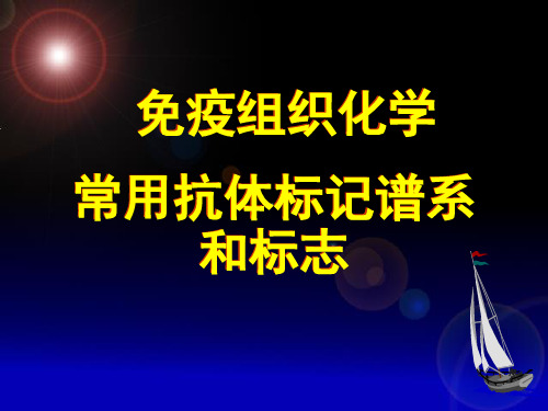 免疫组织化学常用抗体标记谱系和标志
