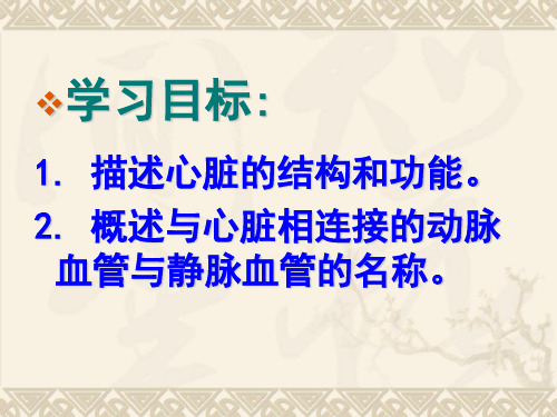 左心室右心房右心室