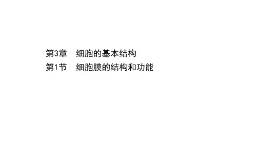 新教材人教版生物必修1课件：3.1 细胞膜的结构和功能 