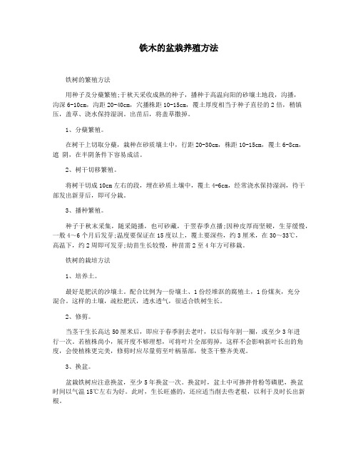 铁木的盆栽养殖方法