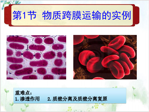 新人教版必修1生物物质跨膜运输的实例(30张)-PPT优秀课件