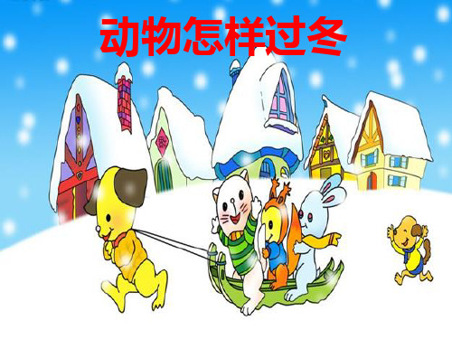 三年级上册科学课件-四《2 动物怎样过冬》2∣大象版(共10张PPT)