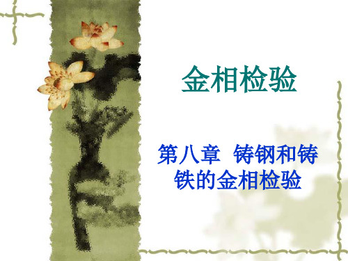 第八章铸铁