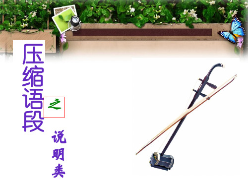高考复习压缩语段之说明类PPT[优秀课件资料]