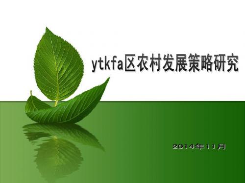 硕士论文答辩课件,农村发展策略研究