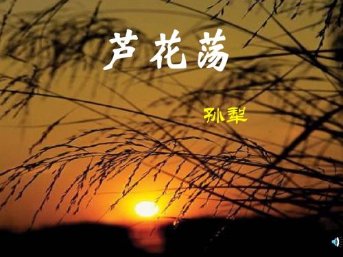 语文：3.12《芦花荡》课件(3)(鄂教版七年级下册)