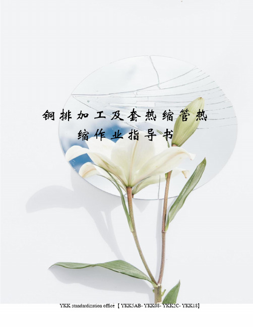 铜排加工及套热缩管热缩作业指导书审批稿