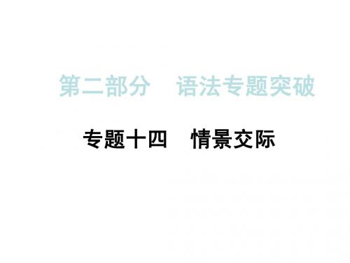 人教版中考语法专题突破课件专题14情景交际