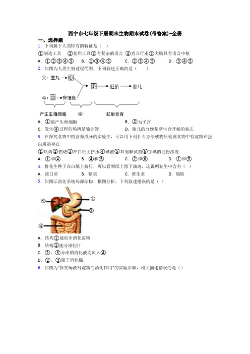 西宁市七年级下册期末生物期末试卷(带答案)-全册