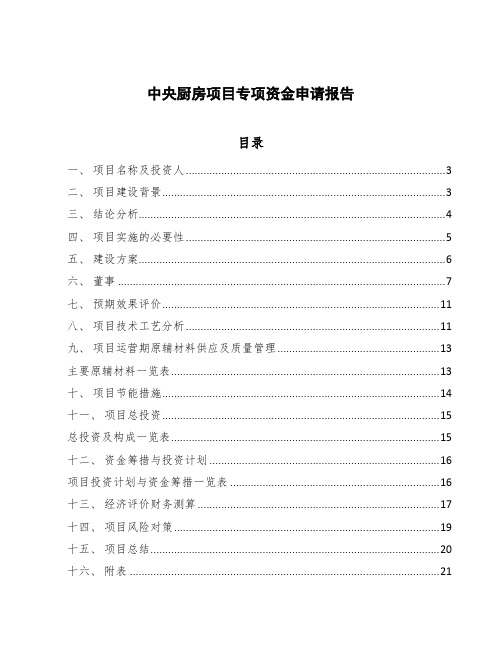 中央厨房项目专项资金申请报告