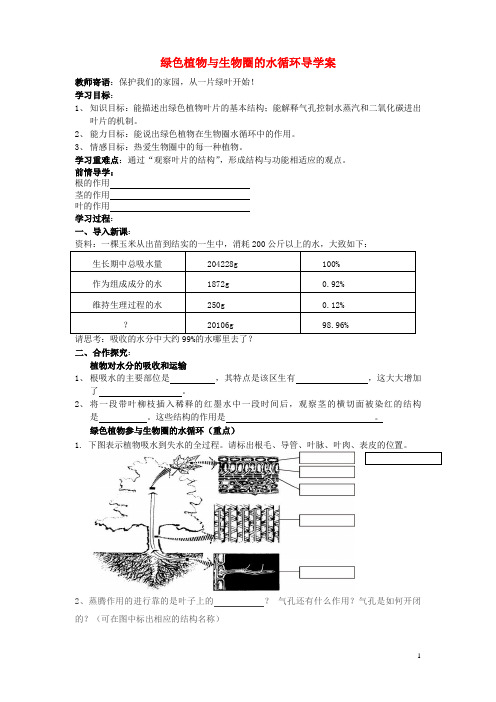 七年级生物《绿色植物与生物圈的水循环》导学案