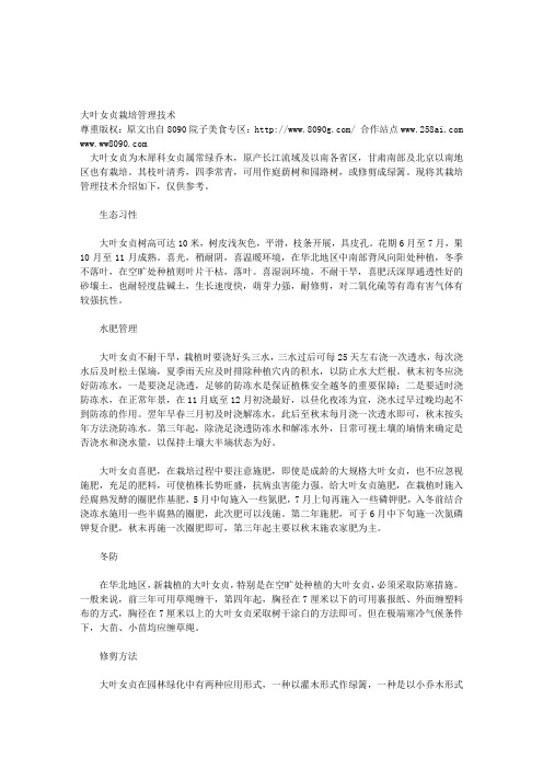 大叶女贞栽培管理技术
