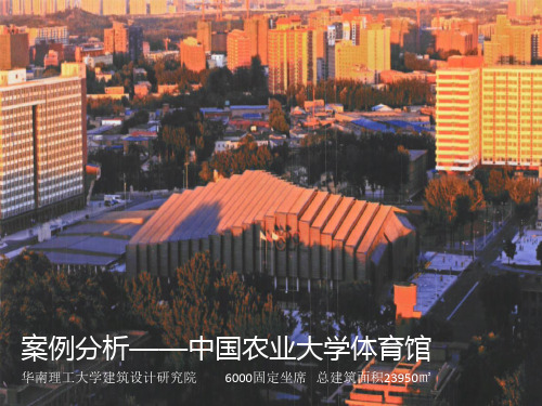 中国农业大学体育馆解析