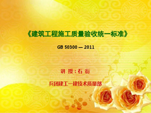 统一标准培训教程——石衍