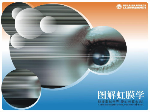图解虹膜学PPT精选文档
