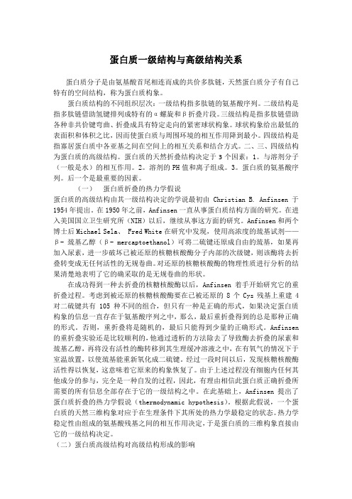 蛋白质一级结构与高级结构关系