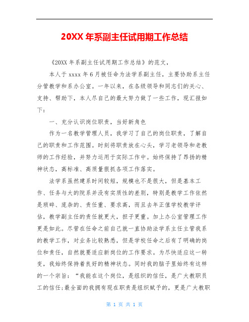 20XX年系副主任试用期工作总结