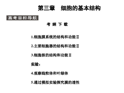 高考生物备考精品复习课件-细胞的基本结构
