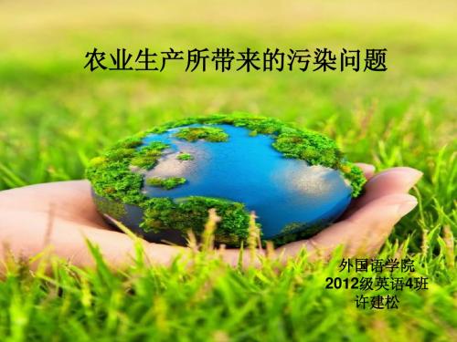 农业环境污染PPT