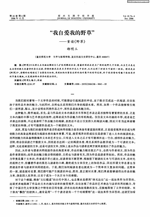 “我自爱我的野草”——重读《野草》