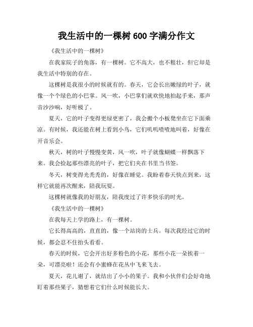我生活中的一棵树600字满分作文