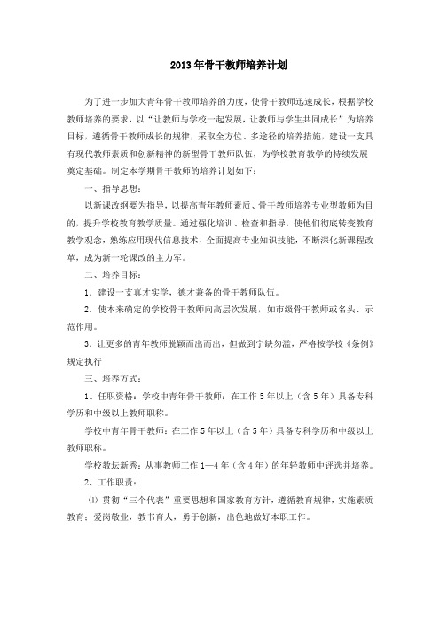 2013年骨干教师培养计划