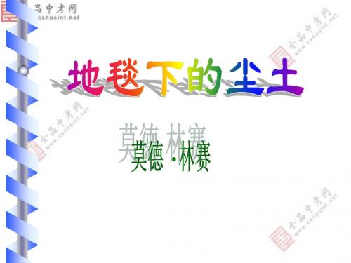 《地毯下的尘土》ppt课件4