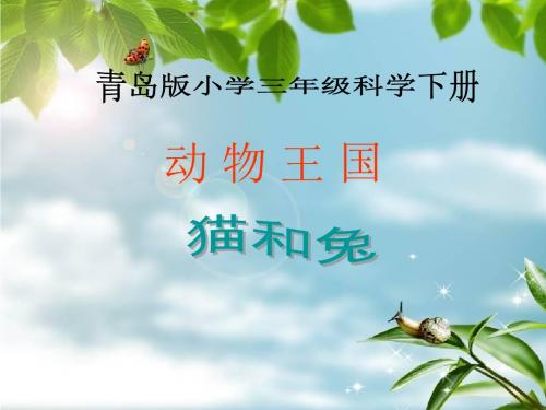 青岛版小学三年级科学下册《猫和兔》课件