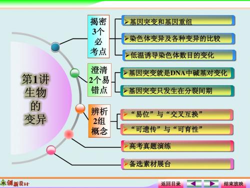 《创新设计·高考总复习》2015届高考生物第一轮复习之高考全程揭秘课件：2-3-1 生物的变异