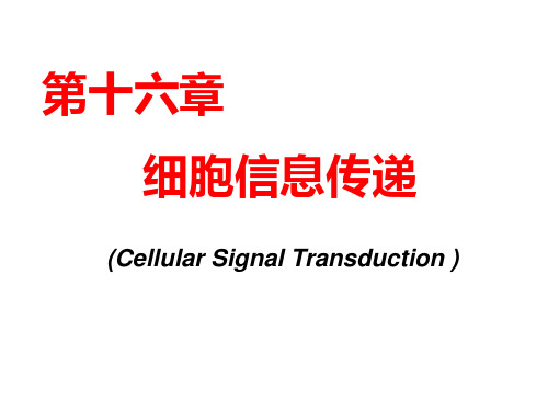 《生物化学》教学课件-第十六章 细胞信息传递